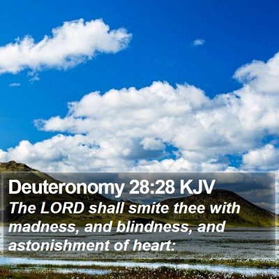 Deuteronomy 28:28 KJV Bible Verse Image