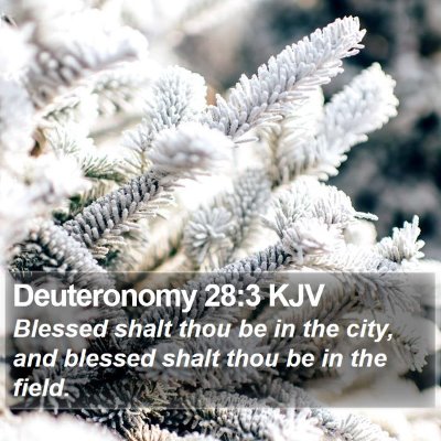 Deuteronomy 28:3 KJV Bible Verse Image