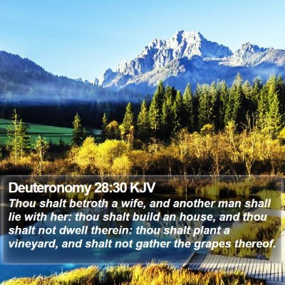 Deuteronomy 28:30 KJV Bible Verse Image