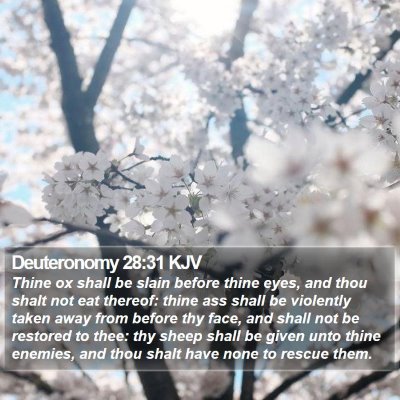 Deuteronomy 28:31 KJV Bible Verse Image
