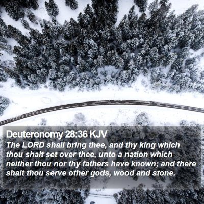 Deuteronomy 28:36 KJV Bible Verse Image