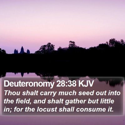 Deuteronomy 28:38 KJV Bible Verse Image