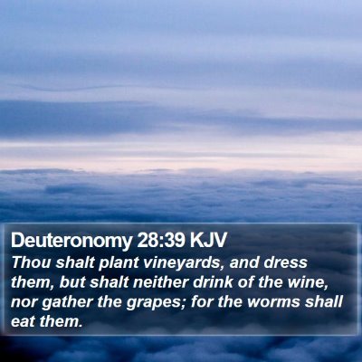 Deuteronomy 28:39 KJV Bible Verse Image
