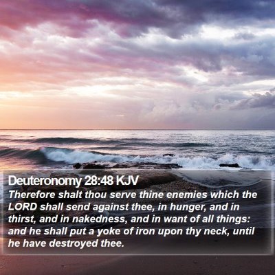 Deuteronomy 28:48 KJV Bible Verse Image