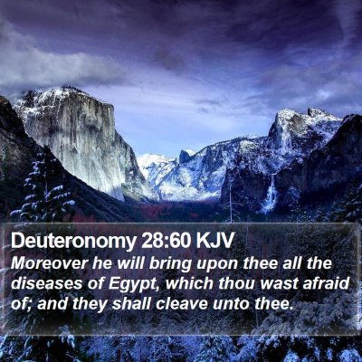 Deuteronomy 28:60 KJV Bible Verse Image