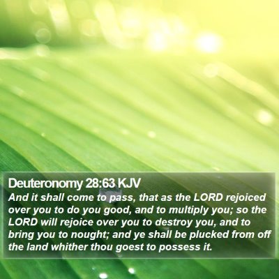Deuteronomy 28:63 KJV Bible Verse Image