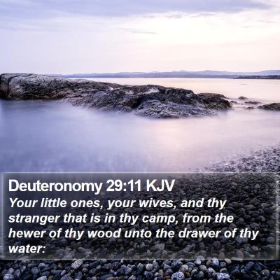 Deuteronomy 29:11 KJV Bible Verse Image