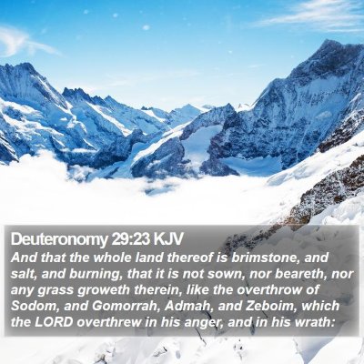 Deuteronomy 29:23 KJV Bible Verse Image