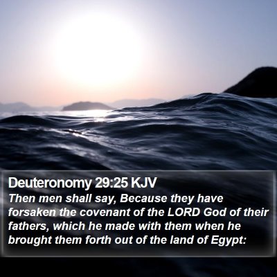 Deuteronomy 29:25 KJV Bible Verse Image