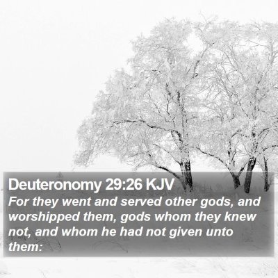 Deuteronomy 29:26 KJV Bible Verse Image