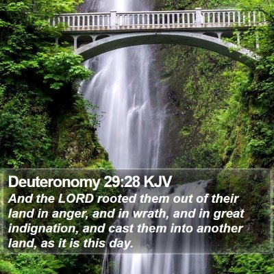 Deuteronomy 29:28 KJV Bible Verse Image