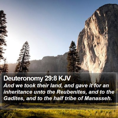 Deuteronomy 29:8 KJV Bible Verse Image