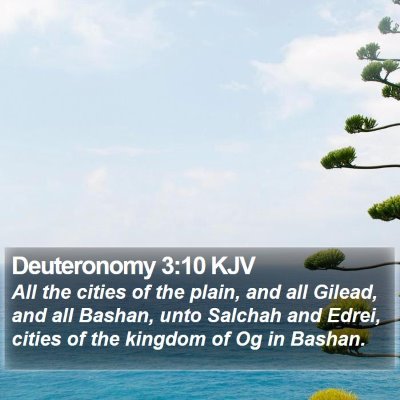 Deuteronomy 3:10 KJV Bible Verse Image