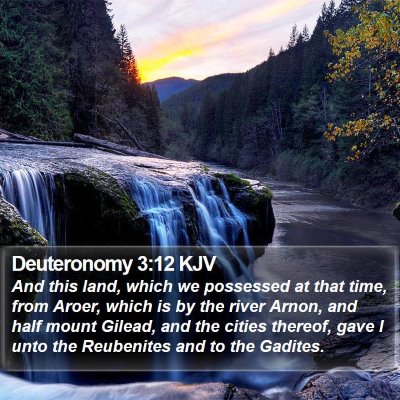 Deuteronomy 3:12 KJV Bible Verse Image