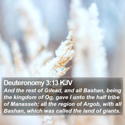 Deuteronomy 3:13 KJV Bible Verse Image