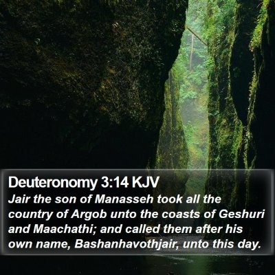 Deuteronomy 3:14 KJV Bible Verse Image