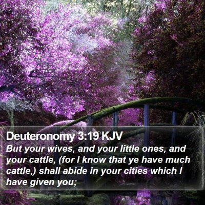 Deuteronomy 3:19 KJV Bible Verse Image