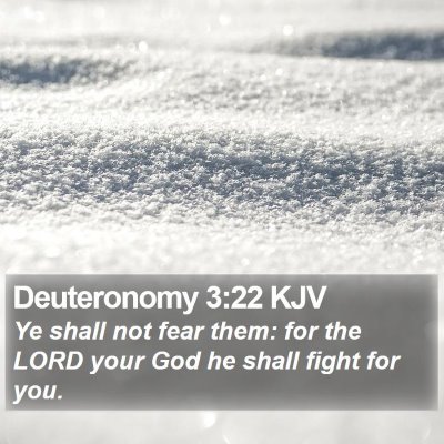 Deuteronomy 3:22 KJV Bible Verse Image