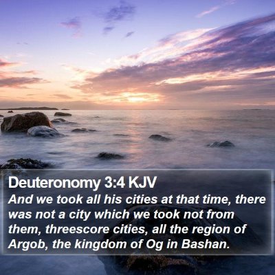 Deuteronomy 3:4 KJV Bible Verse Image