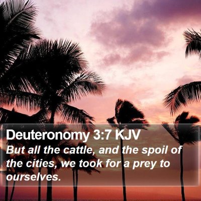 Deuteronomy 3:7 KJV Bible Verse Image