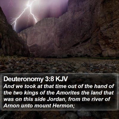 Deuteronomy 3:8 KJV Bible Verse Image