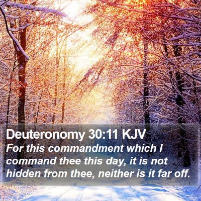 Deuteronomy 30:11 KJV Bible Verse Image