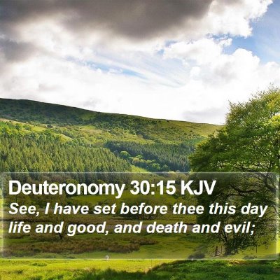 Deuteronomy 30:15 KJV Bible Verse Image