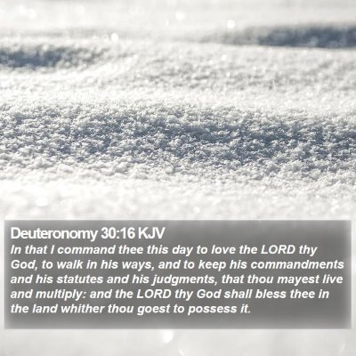 Deuteronomy 30:16 KJV Bible Verse Image