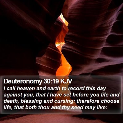 Deuteronomy 30:19 KJV Bible Verse Image
