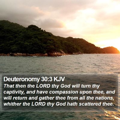 Deuteronomy 30:3 KJV Bible Verse Image