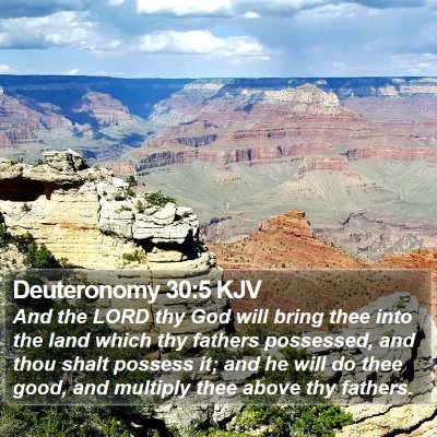 Deuteronomy 30:5 KJV Bible Verse Image
