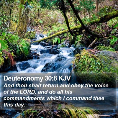 Deuteronomy 30:8 KJV Bible Verse Image