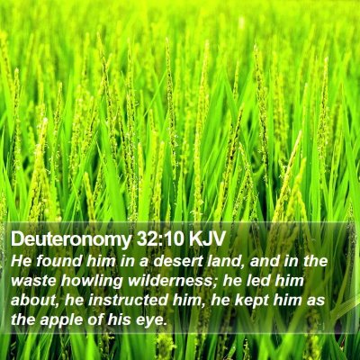 Deuteronomy 32:10 KJV Bible Verse Image