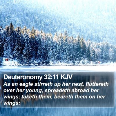 Deuteronomy 32:11 KJV Bible Verse Image