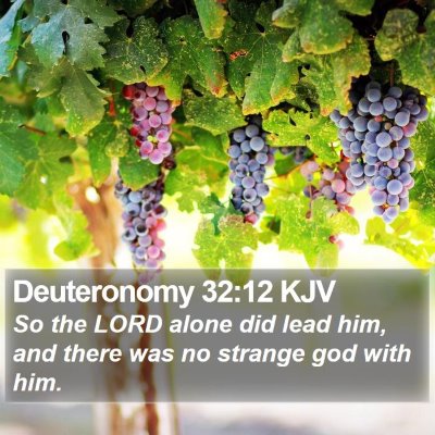 Deuteronomy 32:12 KJV Bible Verse Image