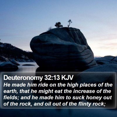 Deuteronomy 32:13 KJV Bible Verse Image