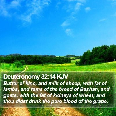 Deuteronomy 32:14 KJV Bible Verse Image