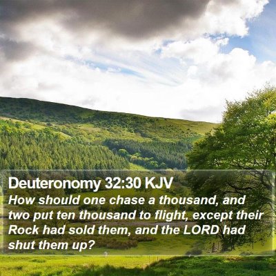 Deuteronomy 32:30 KJV Bible Verse Image