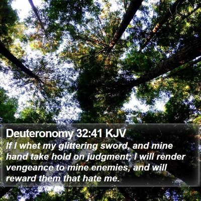 Deuteronomy 32:41 KJV Bible Verse Image