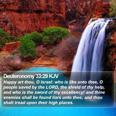 Deuteronomy 33:29 KJV Bible Verse Image