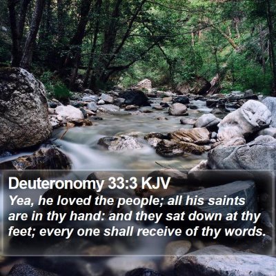 Deuteronomy 33:3 KJV Bible Verse Image