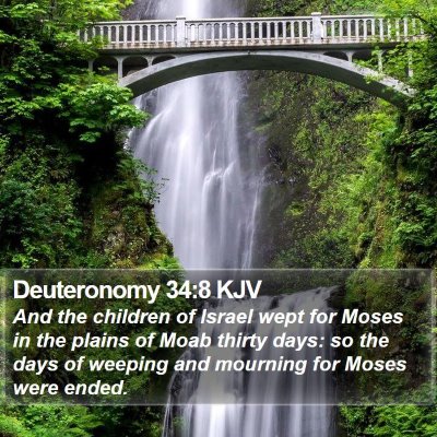 Deuteronomy 34:8 KJV Bible Verse Image