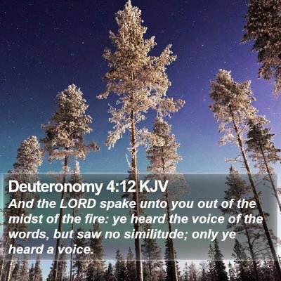 Deuteronomy 4:12 KJV Bible Verse Image
