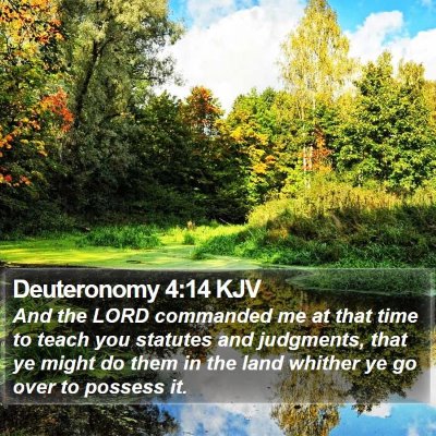 Deuteronomy 4:14 KJV Bible Verse Image