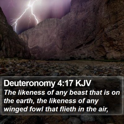 Deuteronomy 4:17 KJV Bible Verse Image