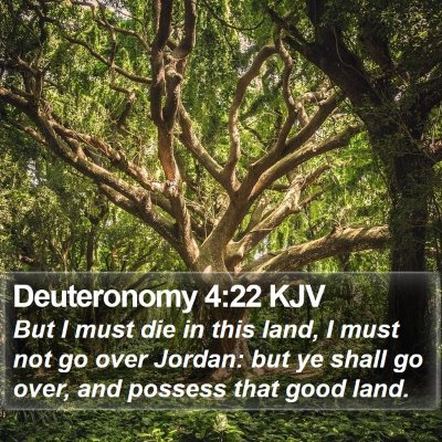 Deuteronomy 4:22 KJV Bible Verse Image