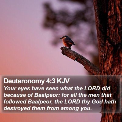 Deuteronomy 4:3 KJV Bible Verse Image