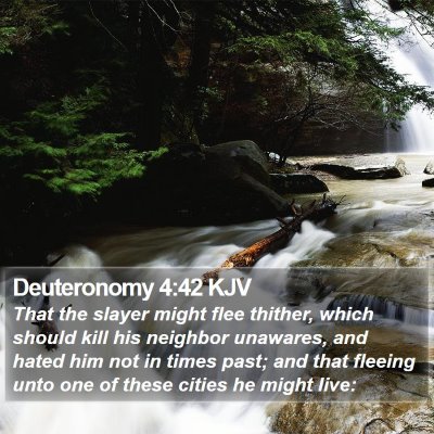 Deuteronomy 4:42 KJV Bible Verse Image