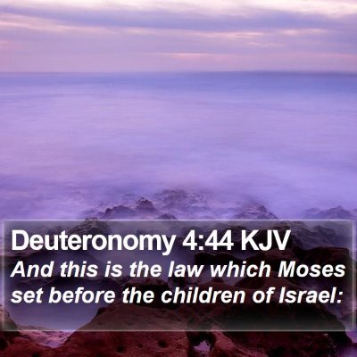 Deuteronomy 4:44 KJV Bible Verse Image