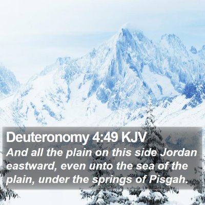 Deuteronomy 4:49 KJV Bible Verse Image